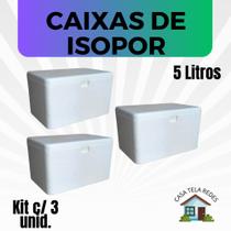 3 Caixas de Isopor EPS 5 litros para Gelo, refrigerante, latas, sorvetes e medicamentos.