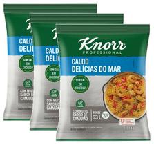 3 Caldo Em Pó Delícias do mar Knorr Mais Sabor Pacote 1,01kg