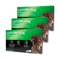 3 Capstar Antipulgas Mata Berne Cães Até 57kg Envio Imediato