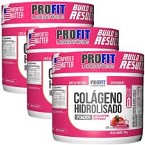 3 Colágeno Hidrolisado Com Vitamina C 300g Profit