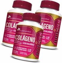 3 Colágeno Verisol +Ácido Hialurônico 120 Caps Flora Nativa 3 Colágeno Verisol +Ácido Hialurônico 120 Caps Flora Nativa
