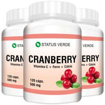 3 Cranberry + Vitamina C + Ferro + Cálcio Kit 360 Cáps 500mg