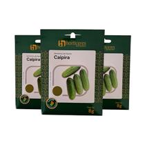 3 Envelopes Sementes de Pepino Caipira Horticeres 10g Produção Uniforme