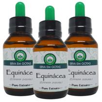 3 Equinácea Extrato 60ml - Herbal Foods