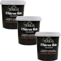 3 Fertilizante - TERRAL O PODEROSO ADUBO 90G - FOLHAGENS