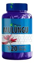 3 frasco 120 cps Mulungu Natuervas 360 Cápsulas total Serenidade Natural para o Dia a Dia 3 frasco 120 cps Mulungu Natuervas 360 Cápsulas total Serenidade Natural para o Dia a Dia