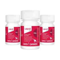 3 Galliprant 60mg Anti-inflamatório Elanco Cães 7 Comp. 3 Galliprant 60mg Anti-inflamatório Elanco Cães 7 Comp.
