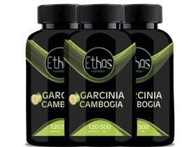 3 Garcinia Cambogia 500mg - 120 Capsulas - Ethos Nutrition