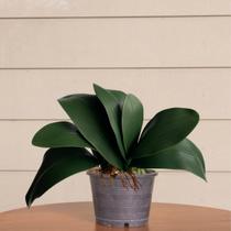 3 Hastes de folhagem artificial qualidade premium para decoração vertical em ambiente interno - DE0924