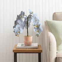 3 Hastes de Orquídea Branca Artificial Grande - Flor de Alta Qualidade para Escritório e Consultório - DE1324 3 Hastes de Orquídea Branca Artificial Grande - Flor de Alta Qualidade para Escritório e Consultório - DE1324