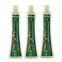 3 Hidratação De Impacto condicionador Midori 500 Ml profissional cabelos danificados ressecados 3 Hidratação De Impacto condicionador Midori 500 Ml profissional cabelos danificados ressecados