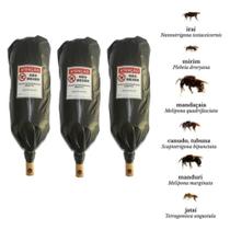 3 Iscas Pet Para Capturar Abelhas Nativas Sem Ferrão Asf 3 Iscas Pet Para Capturar Abelhas Nativas Sem Ferrão Asf
