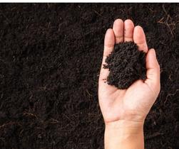 3 kg Terra Preta Adubada Pronto para Jardim Plantio Plantas Horta