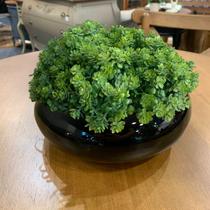 3 Pacotes 6 hastes cada mini suculenta artificiais 21cm planta artificial para artesanato arranjos - DE2723