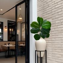 3 Planta Artificiais Ficus Lyrata com 15 Folhas Realistas e Flexíveis (Broto 45cm) Decoração e Enfeite de Casa - DE1925