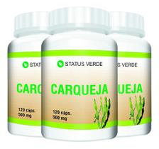 3 Potes Carqueja Pura 500mg Kit 360 Cáps