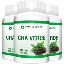 3 Potes Chá Verde Puro Kit 360 Cáps