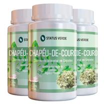 3 Potes Chapéu-de-Couro 60 Cáps - Status Verde
