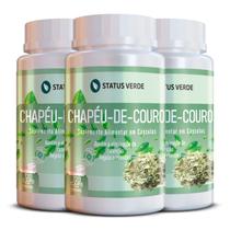 3 Potes Chapéu de Couro Natural Kit 360 Cáps de 500mg 3 Potes Chapéu de Couro Natural Kit 360 Cáps de 500mg