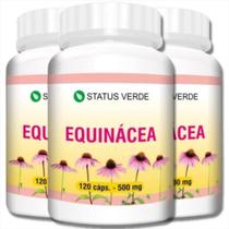 3 Potes Equinácea Extrato Seco Kit 360 Cáps - Status Verde