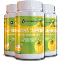 3 Potes Garcinia Cambogia Pura Kit 360 Cáps