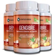 3 Potes Gengibre 500mg Kit 180 Cáps