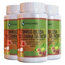 3 Potes Ginkgo Biloba com Castanha da Índia Kit 360 Caps