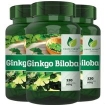 3 Potes Ginkgo Biloba Kit 360 Cáps - Fonte Verde 3 Potes Ginkgo Biloba Kit 360 Cáps - Fonte Verde