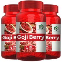 3 Potes Goji Berry Kit 360 Cáps - Fonte Verde 3 Potes Goji Berry Kit 360 Cáps - Fonte Verde