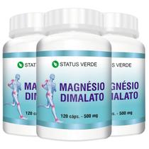 3 Potes Magnésio Dimalato 500mg 120 Cáps 3 Potes Magnésio Dimalato 500mg 120 Cáps