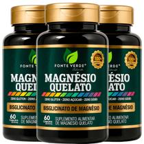 3 Potes Magnésio Quelato 390mg Puro Kit 180 Cáps - Fonte Verde 3 Potes Magnésio Quelato 390mg Puro Kit 180 Cáps - Fonte Verde