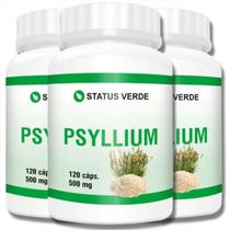 3 Potes Psyllium Natural 500mg 120 Cáps
