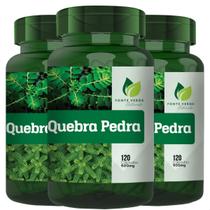 3 Potes Quebra Pedra Natural 500mg Kit 360 Cáps Fonte Verde