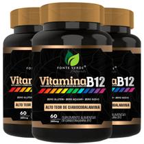 3 Potes Vitamina B12 Alto Teor Concentrado Kit 180 Cáps - Fonte Verde