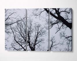 3 Quadros em Tecido Canvas Árvore Galho Sem Folhas Floresta 3 Quadros em Tecido Canvas Árvore Galho Sem Folhas Floresta