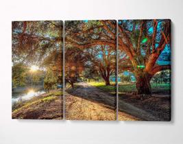 3 Quadros em Tecido Canvas Caminho Árvores Estrada Paisagem
