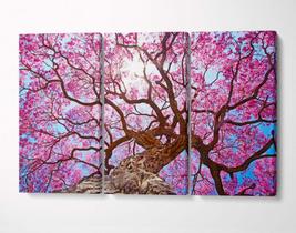 3 Quadros em Tecido Canvas Cerejeira Árvore Primavera Flor