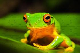 3 Quebra-Cabeças Educativo Sapos Estranhos de 60 peças 3 Quebra-Cabeças Educativo Sapos Estranhos de 60 peças