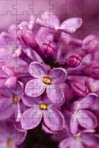 3 Quebra-Cabeças Flores do Mundo Inclusivo e Inteligente de 60 peças