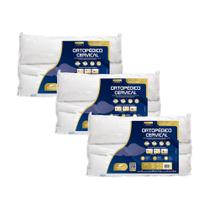 3 Travesseiros Modelo Cervical - Fibras Sintéticas 3 Travesseiros Modelo Cervical - Fibras Sintéticas