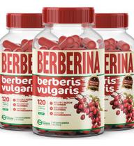 3 un Ber be rina 120 Cápsulas 500mg Premium Forma Suprema 3 un Ber be rina 120 Cápsulas 500mg Premium Forma Suprema