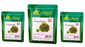 3 Unid. Alface Crespa Green Frizzly 1000 Sem Horticeres Cíclo Rápido 55 Dias