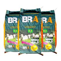 3 Unid Brachiaria Decumbens 10kg Incrustada Bra Resistênte à Pragas E Doenças 3 Unid Brachiaria Decumbens 10kg Incrustada Bra Resistênte à Pragas E Doenças