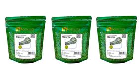 3 Unid. Sementes Abóbora Canhão Seca Gigante 100g Alta Germinação Resistência 3 Unid. Sementes Abóbora Canhão Seca Gigante 100g Alta Germinação Resistência