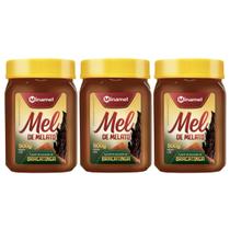 3 unidades de Mel de Melato de Bracatinga 500g mel - Minamel