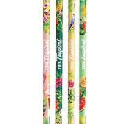 3 unidades LAPIS PTO COLLECT TROPICAL HB 3 unidades LAPIS PTO COLLECT TROPICAL HB