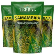 3 Unidades Substrato Samambaia 3l - Terral 3 Unidades Substrato Samambaia 3l - Terral