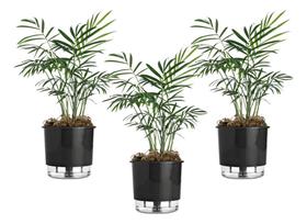 3 Vaso Autoirrigável Terrazzo 02 Reservatório Horta Flor Raiz 3 Vaso Autoirrigável Terrazzo 02 Reservatório Horta Flor Raiz