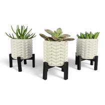 3 Vasos Cachepô Delicado Suculenta Decoração Erva Flor Kit Para Decoração E Enfeite