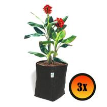 3 Vasos De Feltro Para Plantas e Horta 15 Litros - King Pot